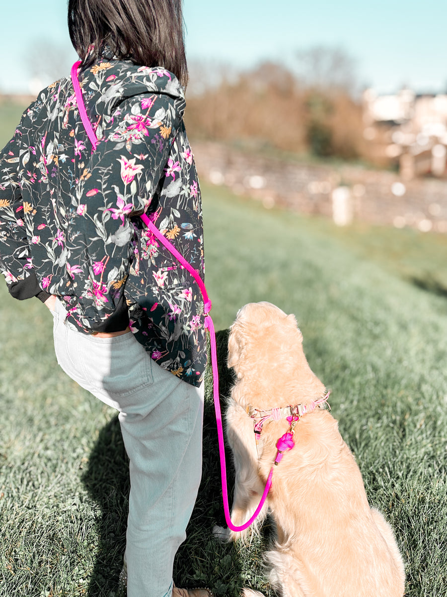 Laisse chien main libre corde - CITY FALL