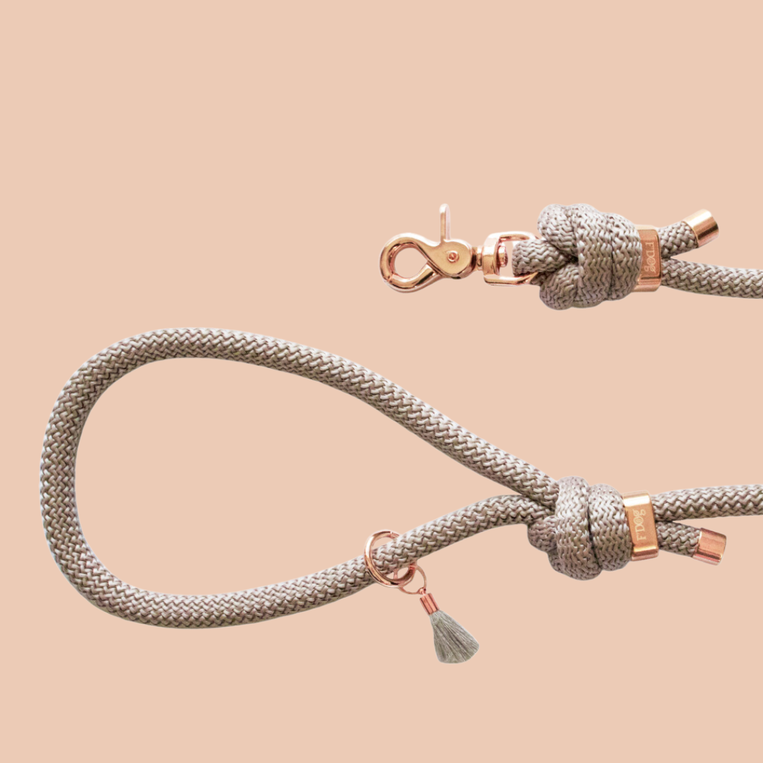 Laisse en corde tressée - Beige main image 1