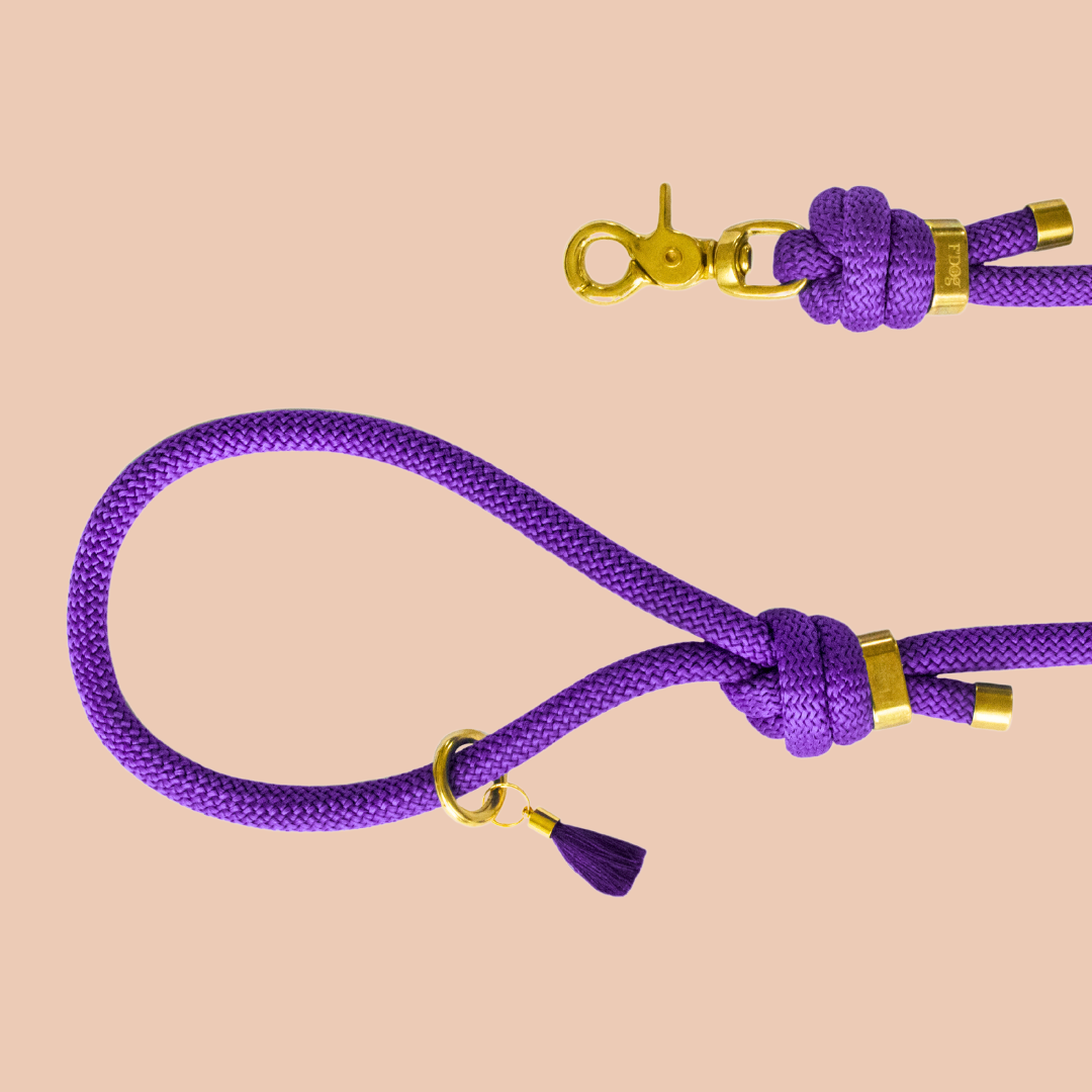 Laisse pour Chien Violet main image 1